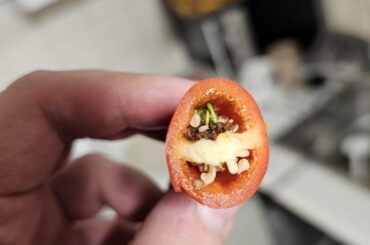 Pepper seeds sprouting inside the pepper