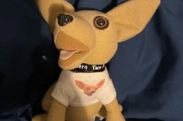 What is this dog saying. I hear “Look who it is”