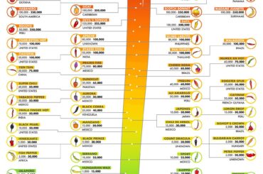 Found this cool Scoville Chart for peppers. Havent seen it here at r/SalsaSnobs yet.