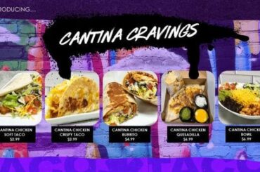Anybody else feels this new Cantina chicken menu isnt really worth it, not taste nor price wise.