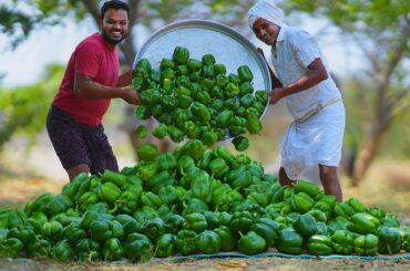 Fried Capsicum Rings | Bell pepper Rings | Shimla Mirch Recipes | Grandpa Kitchen