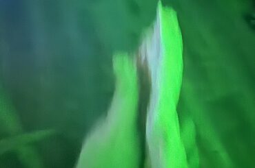 $6.49 chicken cantina burrito