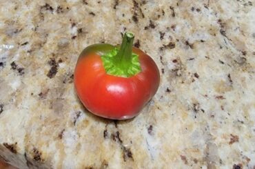 Pepper ID?