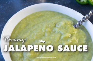 Cant seem to recreate "Creamy Jalapeno" green salsa texture