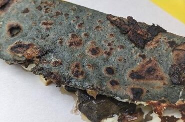 Huitlacoche Quesadilla @ Jenni's Quesadillas CDMX