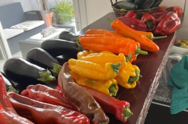 Sweet Palermo peppers