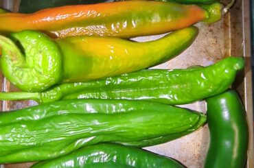 My Partner bought some bulk produce but...
