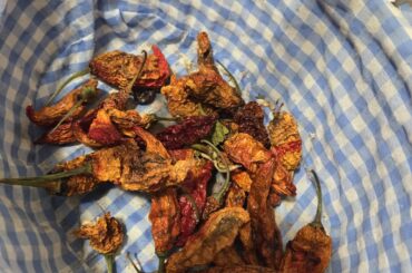 Are these dried peppers still good?