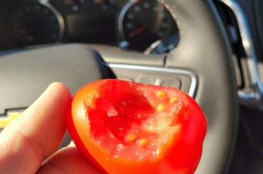 I love chunker salsa