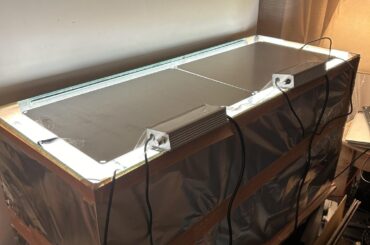 Rate my indoor seedling setup