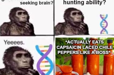 Checkmate, evolution (reversed)