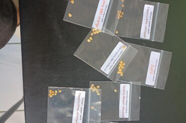 Final batch from PPP