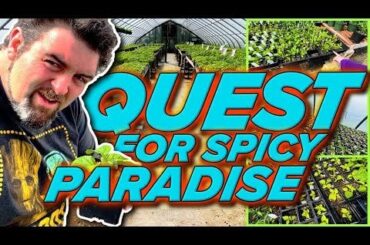 On the Search for Super Hot Peppers!