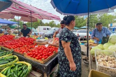 WE MADE TOMATO SAUCE WITH FRESH EGGPLANT AND PEPPER! VILLAGE LIFE