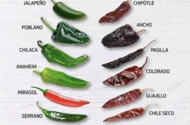 I was today years old when I learned that when fresh peppers are dried their name changes.