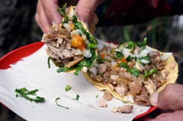 Indiana judge says tacos and burritos are sandwiches