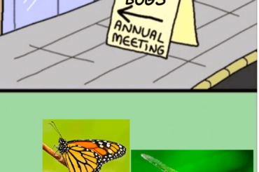Any other crawly bois I missed?