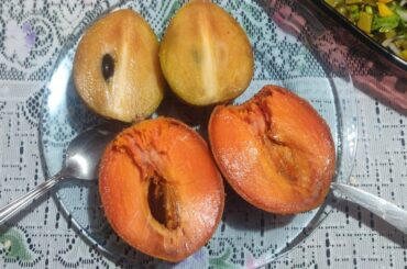 Chicozapote y Zapote Mamey