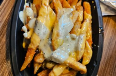 Disappointing Aardvark Fries