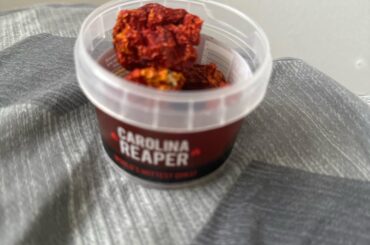 Carolina reapers are not that spicy