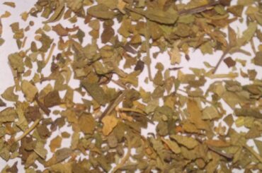 Can you tell by looking if this is Mexican Oregano vs regular (European?) Oregano?