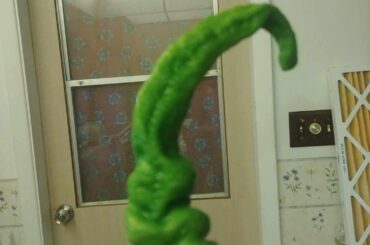 I present to you, the Grinch