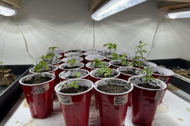 Moved to new containers