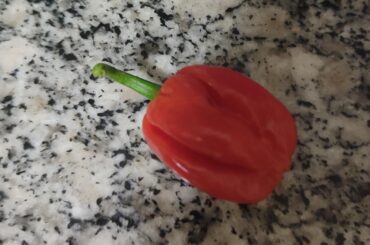 Pepper ID