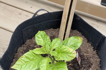 Another “what’s happening” post, but with research