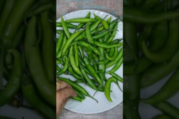Spicy Chilli Pickle Recipe #viral #trending #food #cooking #shortsfeed #suryanshskitchen #easyrecipe