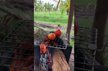 Tasty Drumstick Recipe #recipe #drumsticks