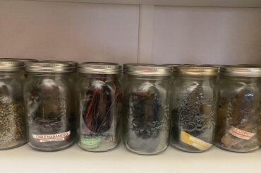How I store my dried chiles. Would love to see everyone else’s