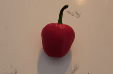 What kind of pepper is this?