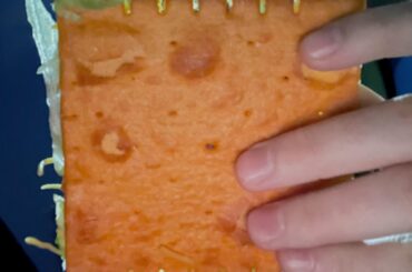 Hot Take - The Cheez-It Tostada is Great!