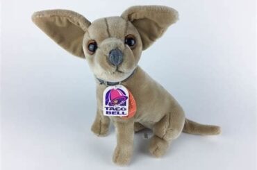 Does Taco Bell cook food or do they reheat already prepared food?