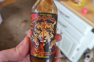 Ghost in the Darkness