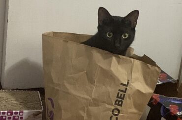 Taco Bell also got my order wrong.