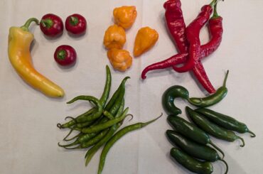 Please help identify these peps!!