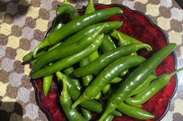 Serrano peppers are super productive