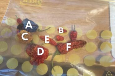 Please sort these from most to least spicy (and tell menthe Scoville units)