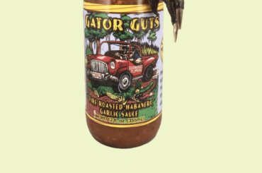 Anyone else love this one?