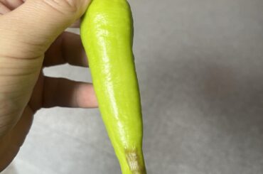 What are the brown spots?