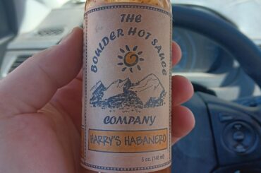 Has anyone tried this one?