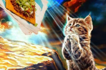 Does anyone like the Big Cheez-It Tostada? I'm obsessed with it.