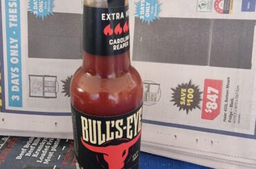 Has anyone tried this before ?