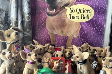 I collect the Taco Bell chihuahua aka Gidget!