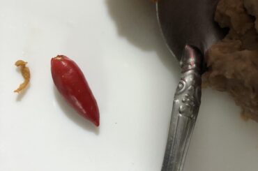 Do you know the name of this chili?