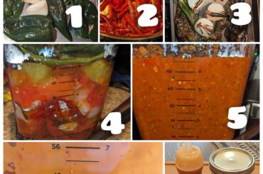 My version of Salsa Taquera