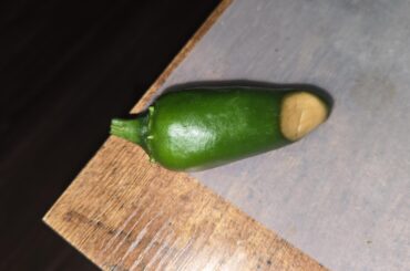 Whats wrong with the peppers on my plants ?