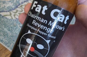 I Can't Pass Up Cats